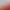 Ave WebClient thumbnail